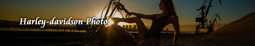 ハーレー画像